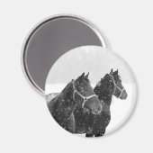 Sneeuwpaarden Magneet (Voorkant / Achterkant)