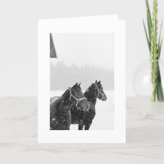 Sneeuwpaarden tijdens de feestdag - Kerstmis Feestdagen Kaart