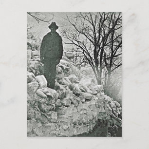 Sneeuwpalen Briefkaart