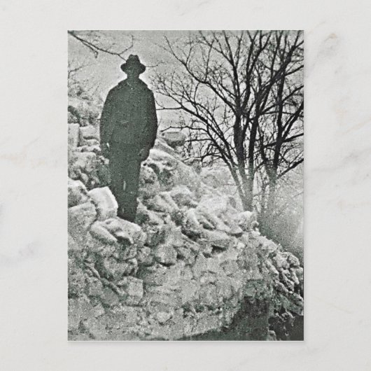 Sneeuwpalen Briefkaart (Voorkant)