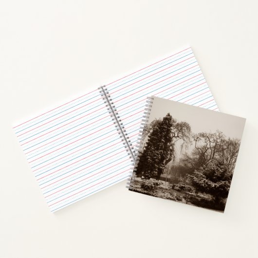 sneeuwpark en bomen in de winter notitieboek (Binnen)