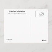 SneeuwPetten in het Briefkaart Santa Cruz (Achterkant)