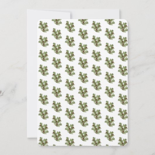 Sneeuwpiegels, vakantiemaatschappij kaart (Achterkant)