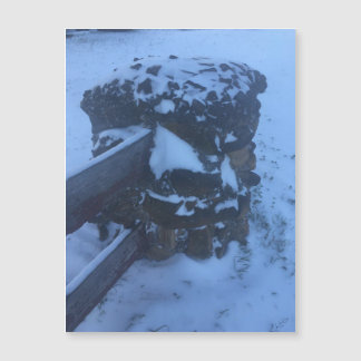 sneeuwpijlermagneet