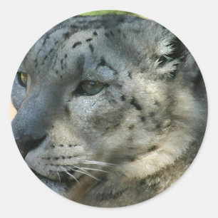 sneeuwplank ronde sticker