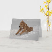 sneeuwploeg! kaart (Gele Bloem)