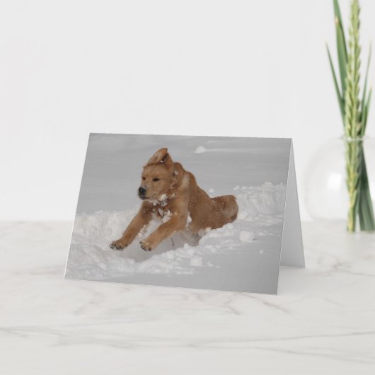 sneeuwploeg! kaart (Voorkant)