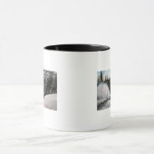 Sneeuwploegen voor het opruimen van spoorwegen in  mok (Midden)