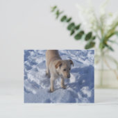 sneeuwpop-Briefkaart Briefkaart (Staand voorkant)