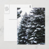 Sneeuwprik Briefkaart (Voorkant / Achterkant)