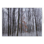 sneeuwpuinfotografie winterlandschap (Voorkant Horizontaal)