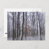 sneeuwpuinfotografie winterlandschap briefkaart (Voorkant / Achterkant)