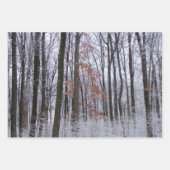 sneeuwpuinfotografie winterlandschap inpakpapier vel (Voorkant 3)