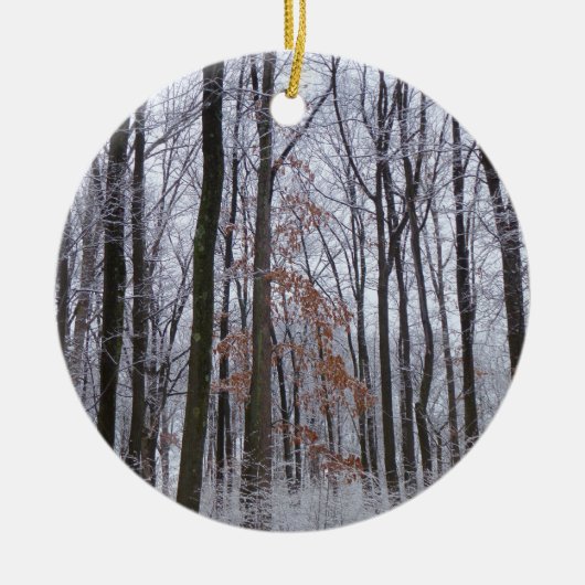 sneeuwpuinfotografie winterlandschap keramisch ornament (Voorkant)
