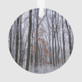 sneeuwpuinfotografie winterlandschap ornament (achterkant)