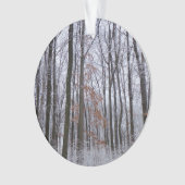 sneeuwpuinfotografie winterlandschap ornament (voorkant)