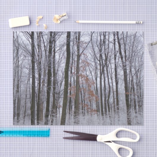 sneeuwpuinfotografie winterlandschap tissuepapier (Craft)