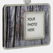 sneeuwpuinfotografie winterlandschap verzilverd omlijst ornament (Rechts)