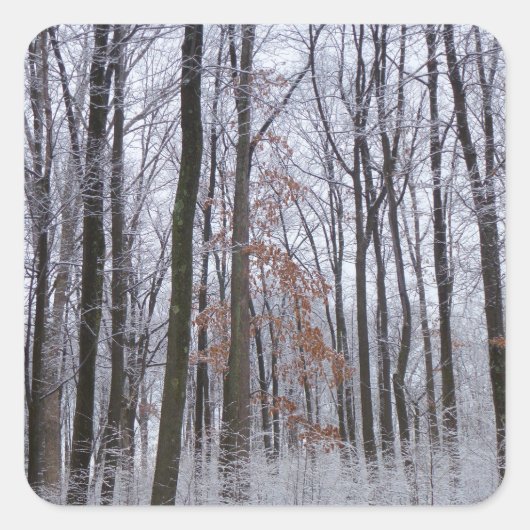 sneeuwpuinfotografie winterlandschap vierkante sticker (Voorkant)