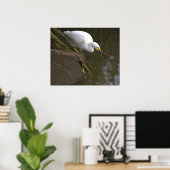 Sneeuwreiger Foto Poster (Thuiskantoor)