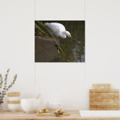 Sneeuwreiger Foto Poster (Keuken)