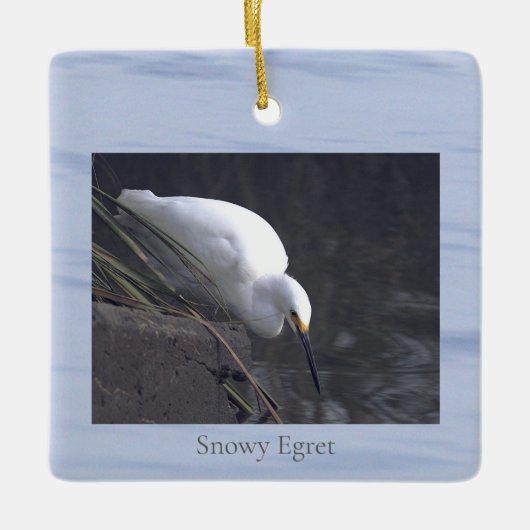 Sneeuwreiger Vogel Foto Ornament (Voorkant)