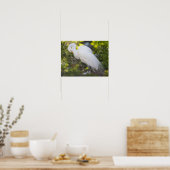 Sneeuwreiger Vogel Foto Poster (Keuken)