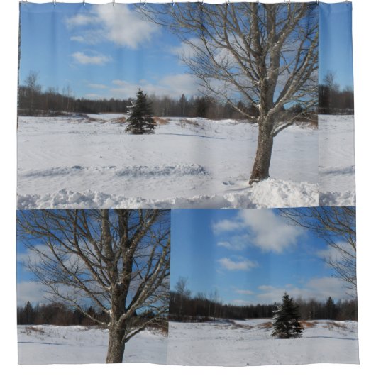 Sneeuwrijk koel winter wonderland douchegordijn (Voorkant)