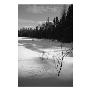 Sneeuwrijk noordelijk bos foto afdruk
