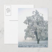 Sneeuwrijk winterlandschap briefkaart (Voorkant / Achterkant)