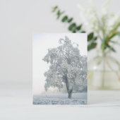 Sneeuwrijk winterlandschap briefkaart (Staand voorkant)