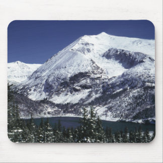Sneeuwrijke Colorado Mountain Muismatten
