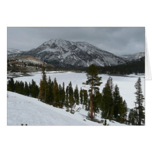 Sneeuwrijke Ellery Lake California winterlandschap