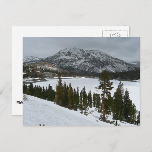 Sneeuwrijke Ellery Lake California winterlandschap Briefkaart (Voorkant / Achterkant)