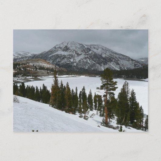 Sneeuwrijke Ellery Lake California winterlandschap Briefkaart (Voorkant)
