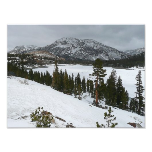 Sneeuwrijke Ellery Lake California winterlandschap Foto Afdruk (Voorkant)