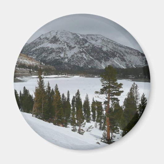 Sneeuwrijke Ellery Lake California winterlandschap Magneet (Voorkant)