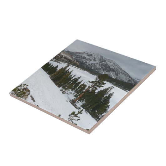 Sneeuwrijke Ellery Lake California winterlandschap Tegeltje (Zijkant)