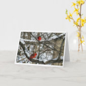 Sneeuwrijke kardinalen kaart (Gele Bloem)