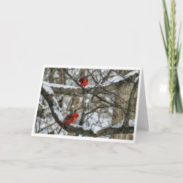 Sneeuwrijke kardinalen kaart