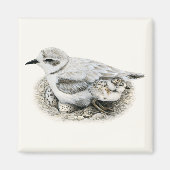 Sneeuwrijke Plover met Chick and Eggs Magnet (Voorkant)