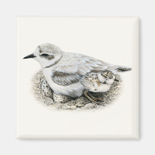 Sneeuwrijke Plover met Chick and Eggs Magnet