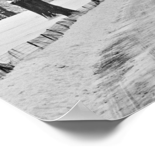 Sneeuwrol in Central Park Poster (Hoek)