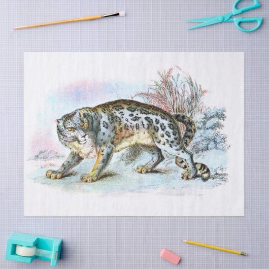  sneeuwruimenillustratie ontkoppeling tissuepapier (Craft)