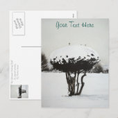 sneeuwscand voor seizoensgebonden landschappen op  feestdagenkaart (Voorkant / Achterkant)