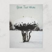 sneeuwscand voor seizoensgebonden landschappen op feestdagenkaart (Voorkant)