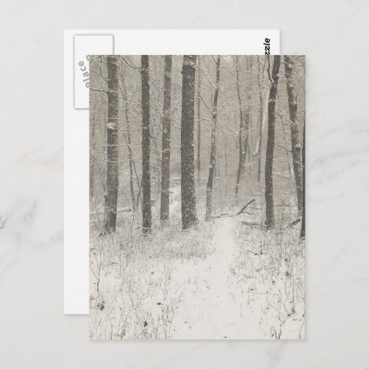 sneeuwscène briefkaart (Voorkant / Achterkant)