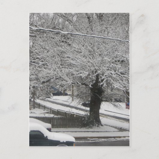 sneeuwscène briefkaart (Voorkant)