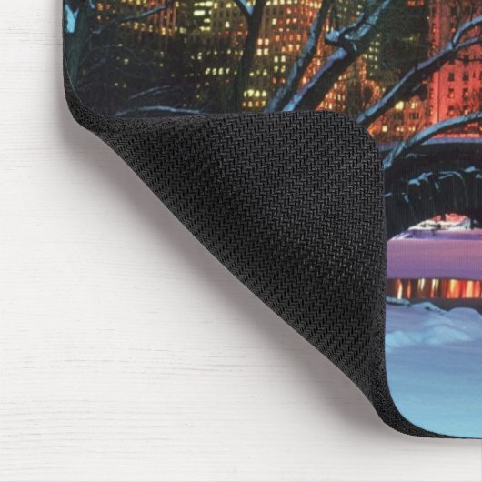 Sneeuwscène in de Muismat van het centrale park (Hoek)