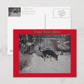 sneeuwscène met een schattige bruine hond op kerst briefkaart (Voorkant / Achterkant)